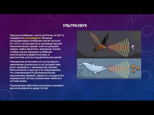 УЛЬТРАЗВУК Упругие колебания с частотой более 16 000 Гц называются ультразвуком.