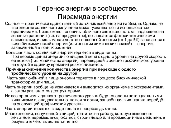 Перенос энергии в сообществе. Пирамида энергии Солнце — практически единственный источник