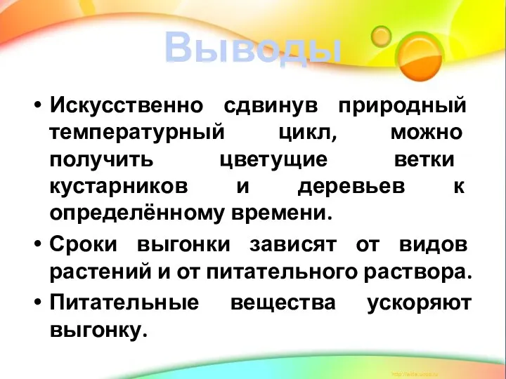 Выводы Искусственно сдвинув природный температурный цикл, можно получить цветущие ветки кустарников