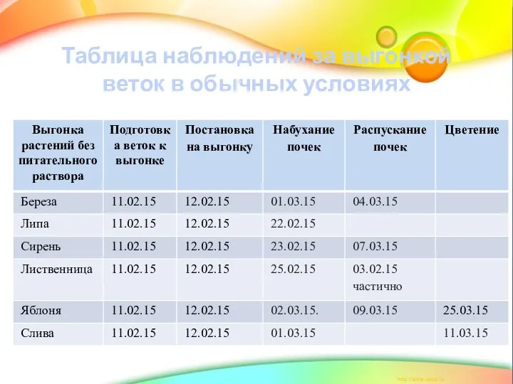 Таблица наблюдений за выгонкой веток в обычных условиях