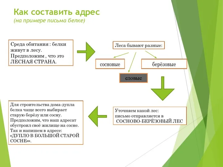 Как составить адрес (на примере письма белке) еловые