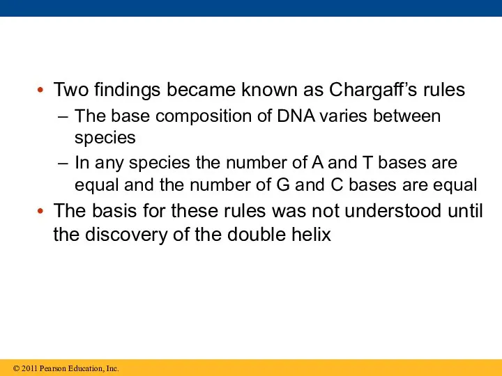 Two findings became known as Chargaff’s rules The base composition of