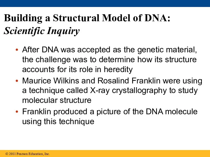 Building a Structural Model of DNA: Scientific Inquiry After DNA was