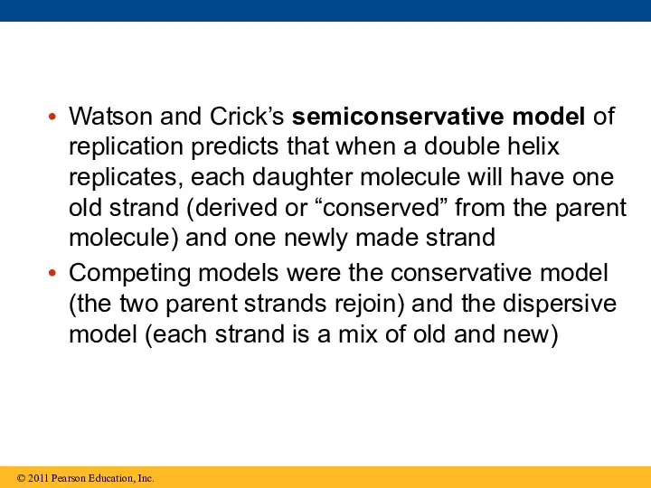 Watson and Crick’s semiconservative model of replication predicts that when a