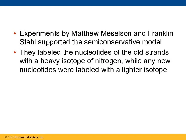 Experiments by Matthew Meselson and Franklin Stahl supported the semiconservative model