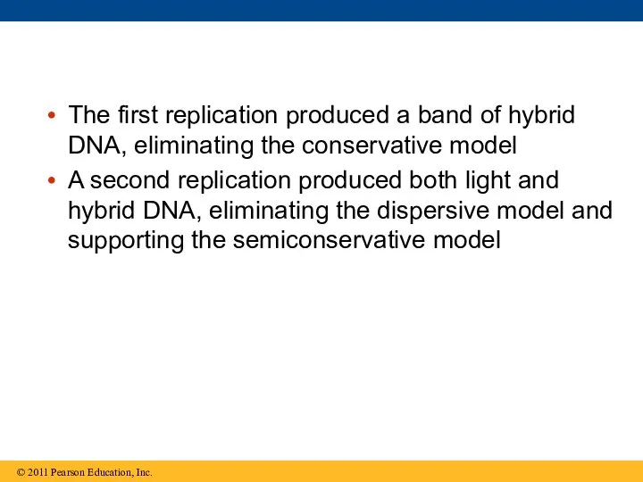 The first replication produced a band of hybrid DNA, eliminating the