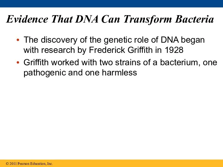 Evidence That DNA Can Transform Bacteria The discovery of the genetic