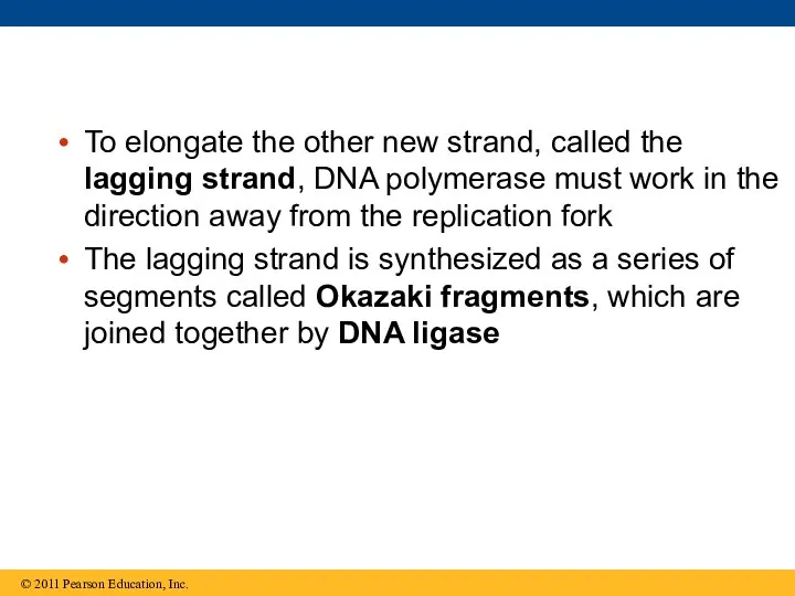 To elongate the other new strand, called the lagging strand, DNA