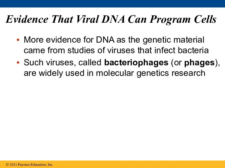 Evidence That Viral DNA Can Program Cells More evidence for DNA