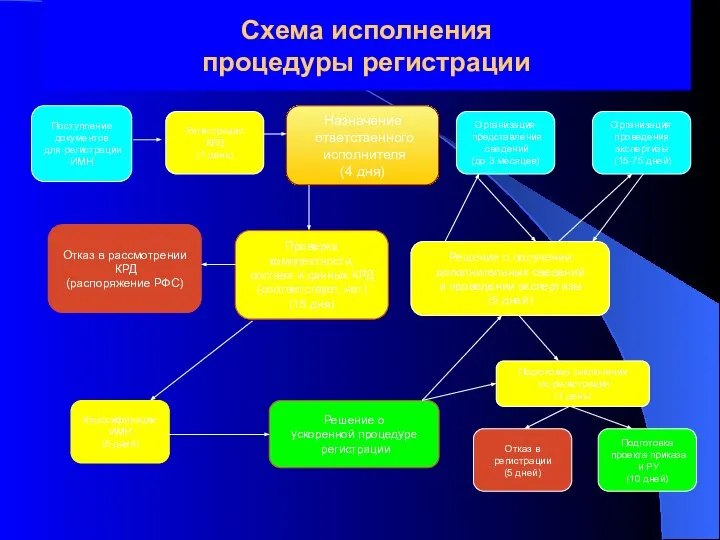 Схема исполнения процедуры регистрации Подготовка проекта приказа и РУ (10 дней) Отказ в регистрации (5 дней)