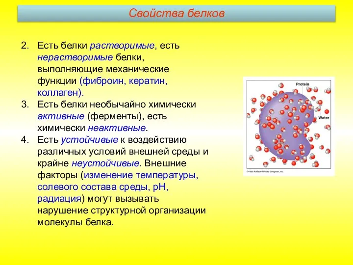 Есть белки растворимые, есть нерастворимые белки, выполняющие механические функции (фиброин, кератин,