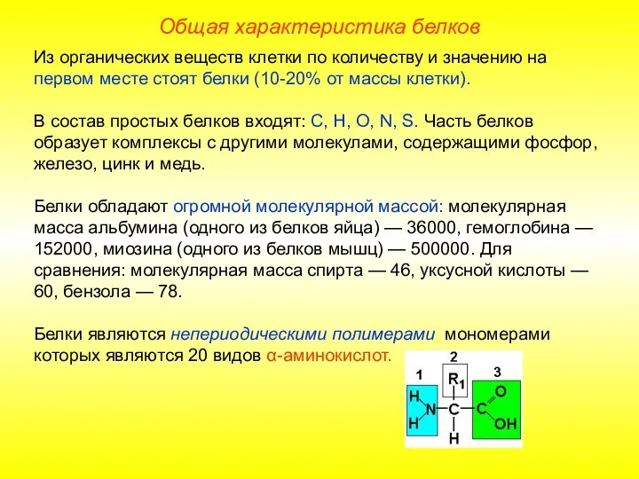 Из органических веществ клетки по количеству и значению на первом месте