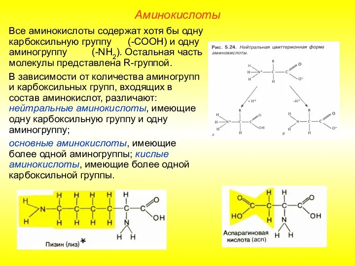 Все аминокислоты содержат хотя бы одну карбоксильную группу (-СООН) и одну