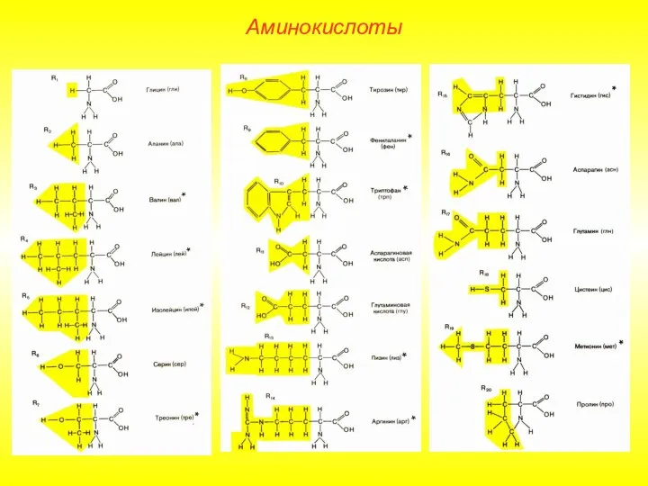 Аминокислоты