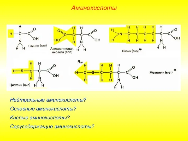 Нейтральные аминокислоты? Основные аминокислоты? Кислые аминокислоты? Серусодержащие аминокислоты? Аминокислоты