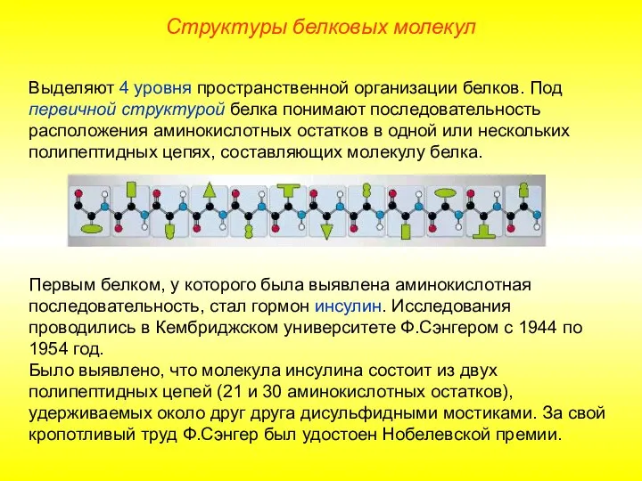 Выделяют 4 уровня пространственной организации белков. Под первичной структурой белка понимают