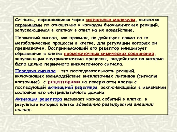 Сигналы, передающиеся через сигнальные молекулы, являются первичными по отношению к каскадам