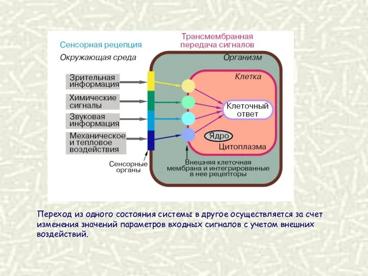 Переход из одного состояния системы в другое осуществляется за счет изменения