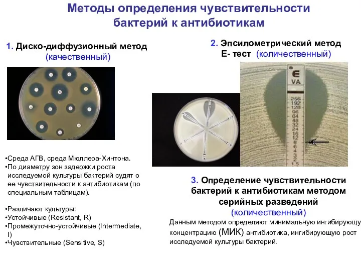 Методы определения чувствительности бактерий к антибиотикам 1. Диско-диффузионный метод (качественный) 2.
