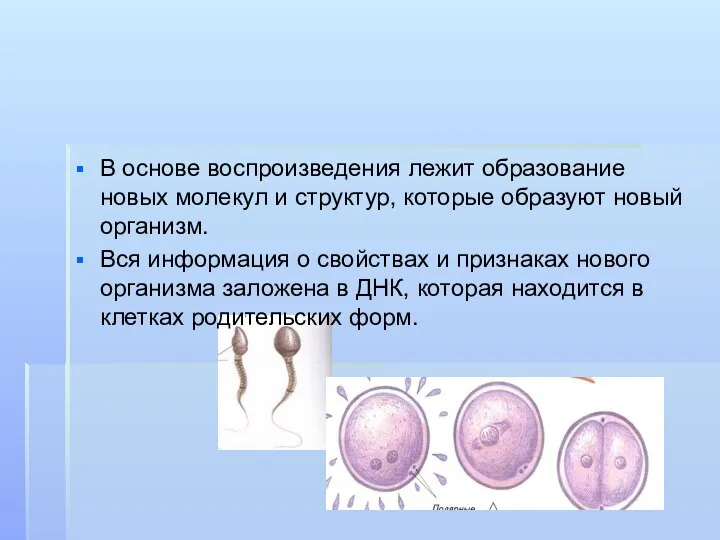 В основе воспроизведения лежит образование новых молекул и структур, которые образуют