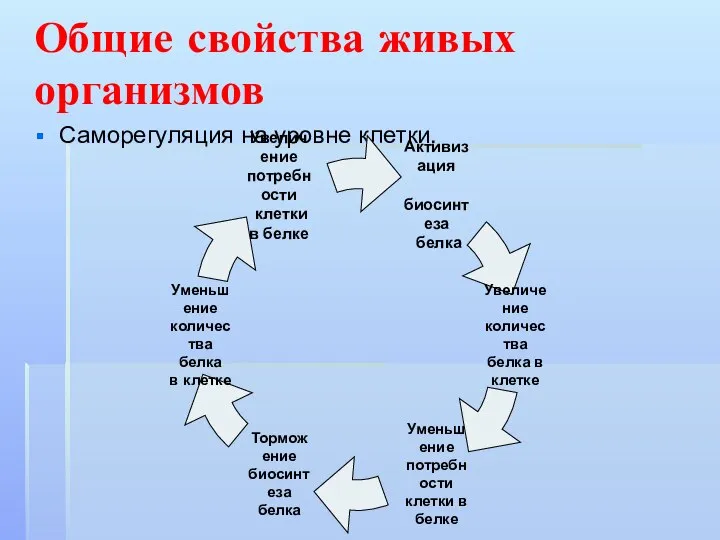 Саморегуляция на уровне клетки. Общие свойства живых организмов