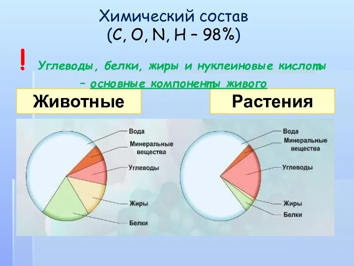 Растения Животные Химический состав (C, O, N, H – 98%) !