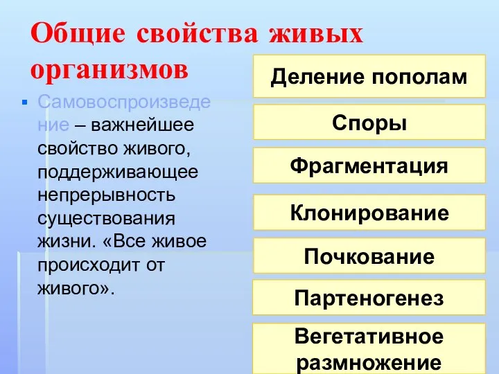 Общие свойства живых организмов Самовоспроизведение – важнейшее свойство живого, поддерживающее непрерывность