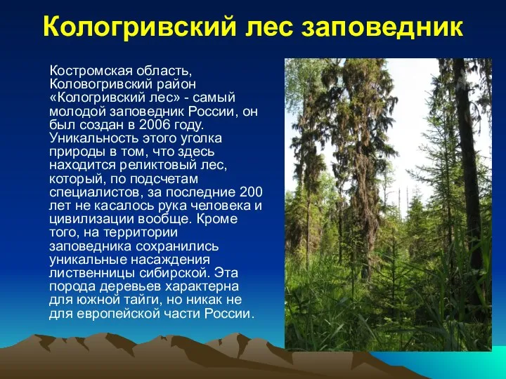 Кологривский лес заповедник Костромская область, Коловогривский район «Кологривский лес» - самый