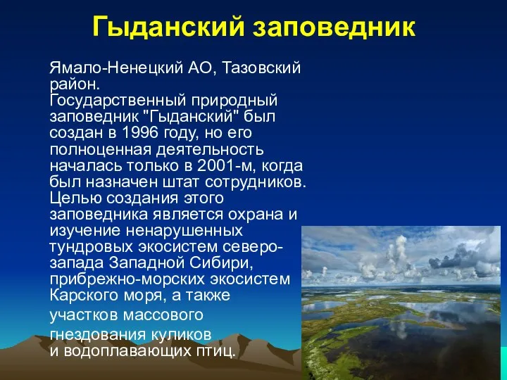 Гыданский заповедник Ямало-Ненецкий АО, Тазовский район. Государственный природный заповедник "Гыданский" был