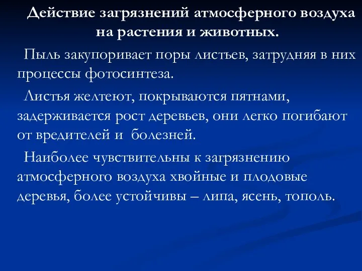 Действие загрязнений атмосферного воздуха на растения и животных. Пыль закупоривает поры