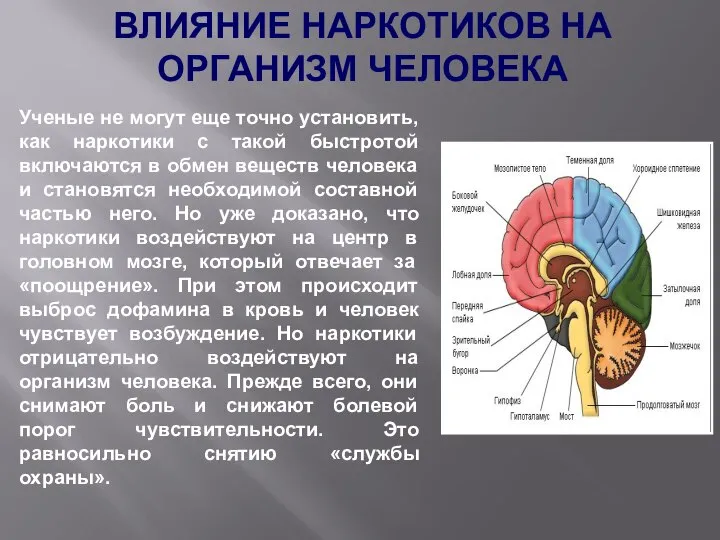 Ученые не могут еще точно установить, как наркотики с такой быстротой