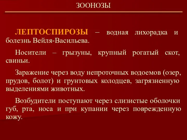 ЛЕПТОСПИРОЗЫ – водная лихорадка и болезнь Вейля-Васильева. Носители – грызуны, крупный