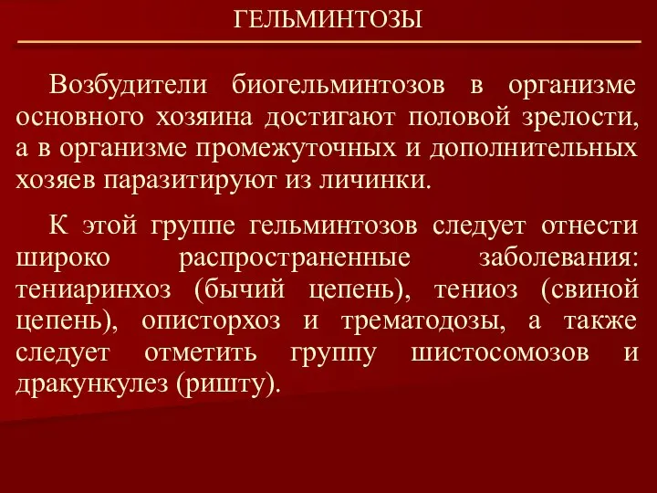 Возбудители биогельминтозов в организме основного хозяина достигают половой зрелости, а в