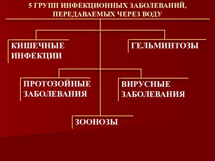 5 ГРУПП ИНФЕКЦИОННЫХ ЗАБОЛЕВАНИЙ, ПЕРЕДАВАЕМЫХ ЧЕРЕЗ ВОДУ