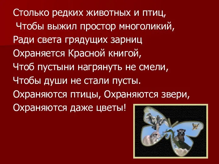 Столько редких животных и птиц, Чтобы выжил простор многоликий, Ради света