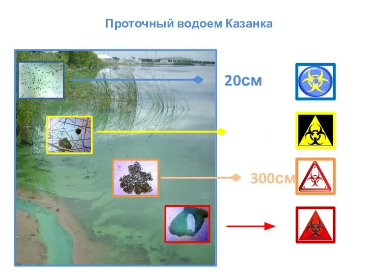 20см 100см 300см Проточный водоем Казанка