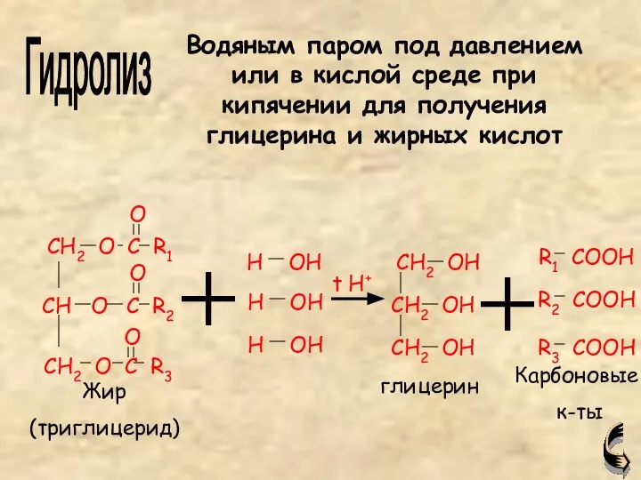 Жир (триглицерид) глицерин Карбоновые к-ты Гидролиз Водяным паром под давлением или