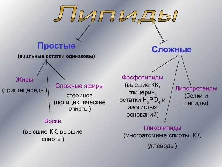 Липиды Простые (ацильные остатки одинаковы) Сложные Жиры (триглицериды) Воски (высшие КК,