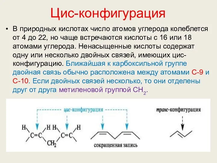 Цис-конфигурация В природных кислотах число атомов углерода колеблется от 4 до