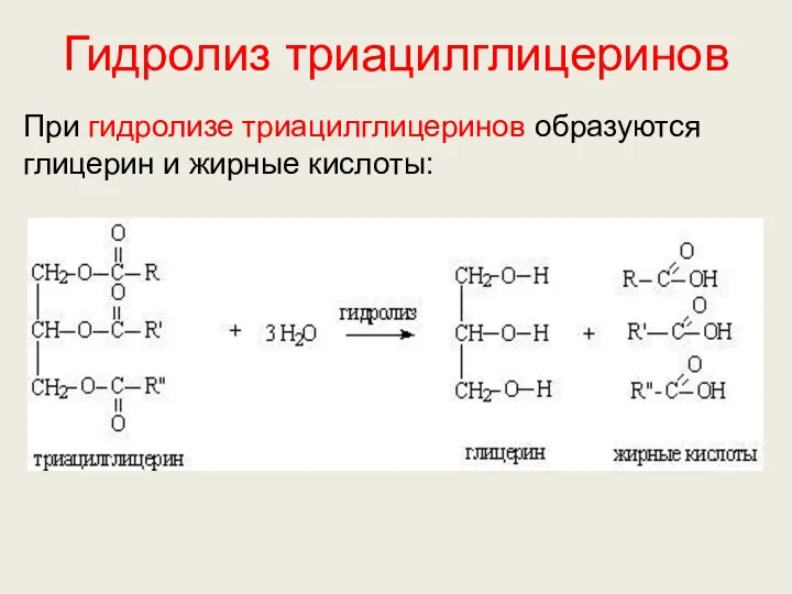 Гидролиз триацилглицеринов При гидролизе триацилглицеринов образуются глицерин и жирные кислоты: