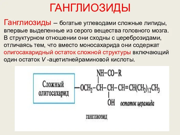 ГАНГЛИОЗИДЫ Ганглиозиды – богатые углеводами сложные липиды, впервые выделенные из серого