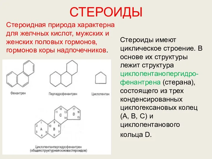 СТЕРОИДЫ Стероиды имеют циклическое строение. В основе их структуры лежит структура