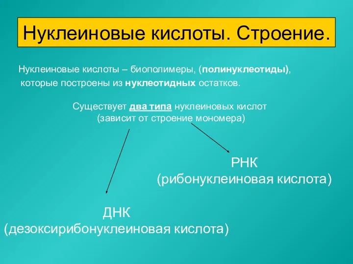 Нуклеиновые кислоты – биополимеры, (полинуклеотиды), которые построены из нуклеотидных остатков. Нуклеиновые