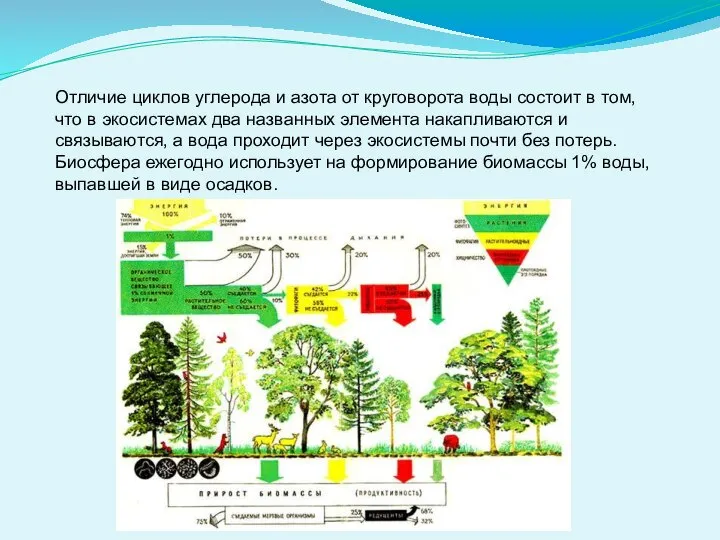 Отличие циклов углерода и азота от круговорота воды состоит в том,