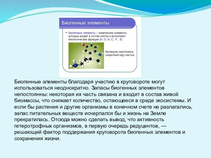 Биогенные элементы благодаря участию в круговороте могут использоваться неоднократно. Запасы биогенных