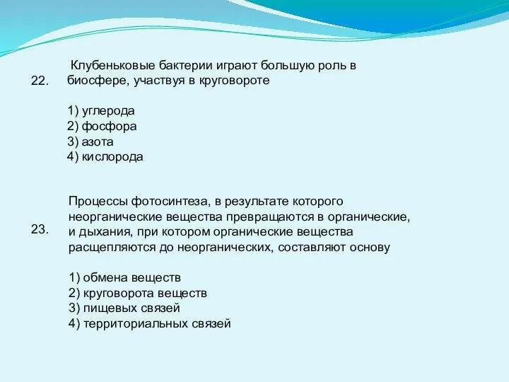 22. Клубеньковые бактерии играют большую роль в биосфере, участвуя в круговороте