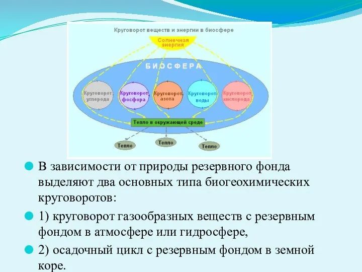 В зависимости от природы резервного фонда выделяют два основных типа биогеохимических