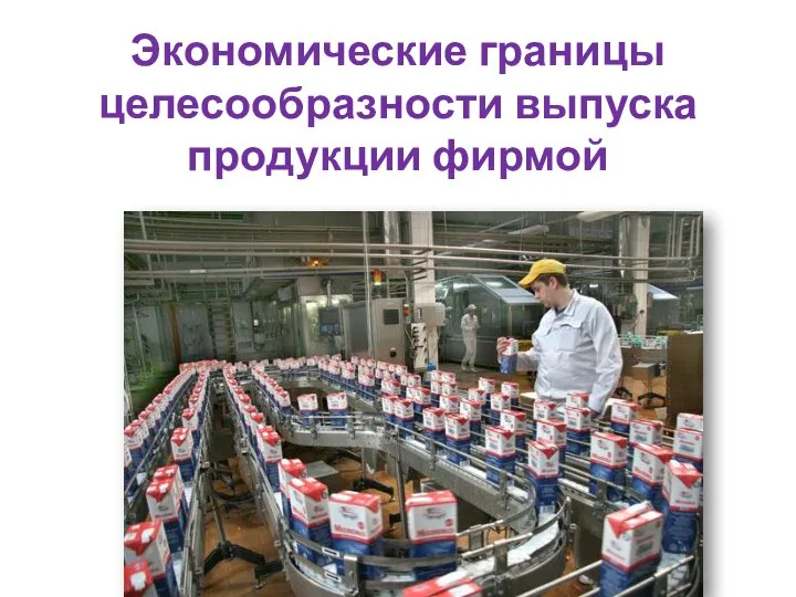 Экономические границы целесообразности выпуска продукции фирмой