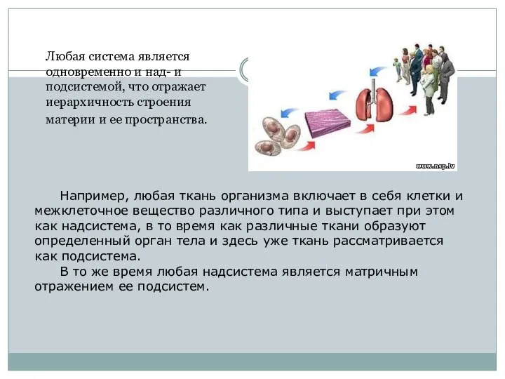 Любая система является одновременно и над- и подсистемой, что отражает иерархичность