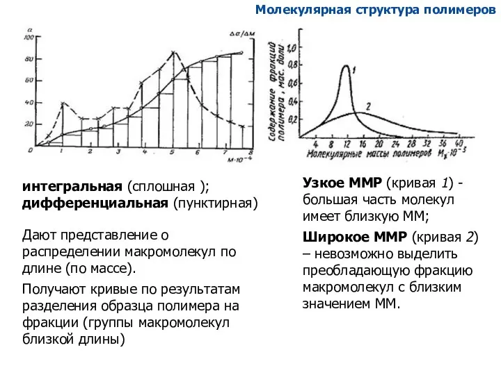 Узкое ММР (кривая 1) - большая часть молекул имеет близкую ММ;